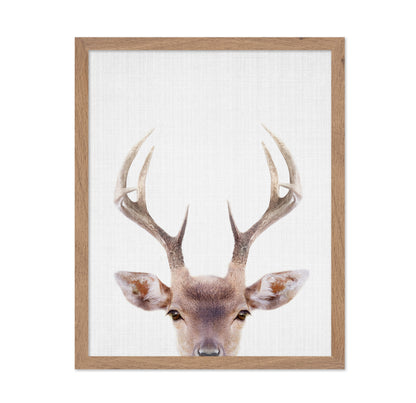 Peekaboo Deer