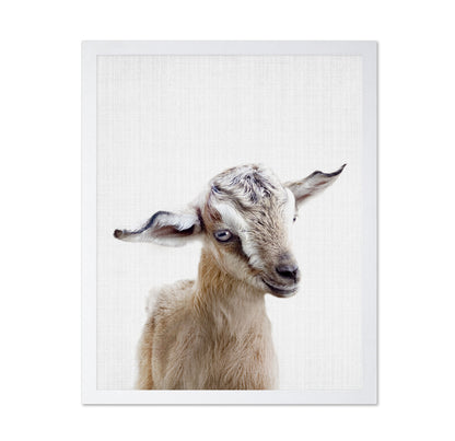 Peekaboo Baby Goat