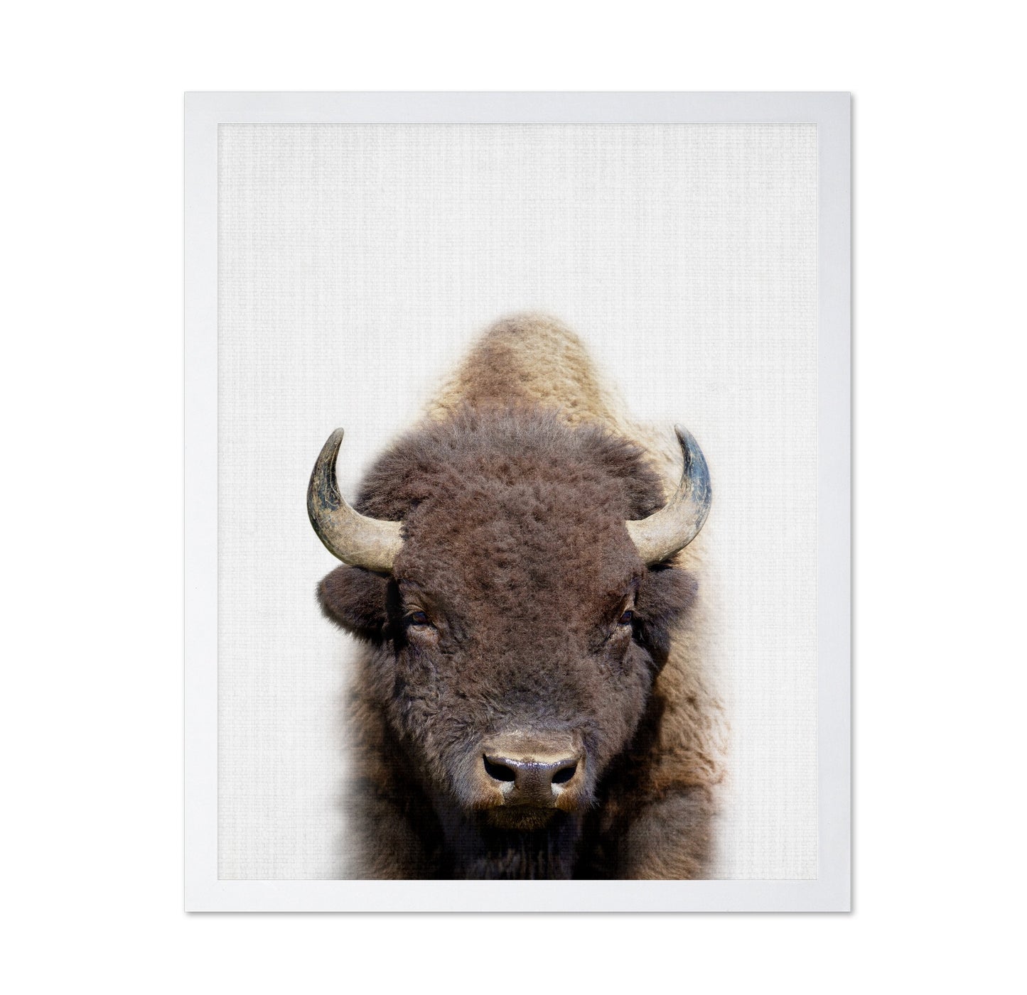 Peekaboo Bison