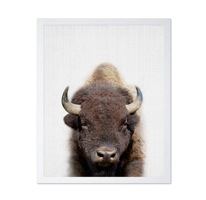 Peekaboo Bison
