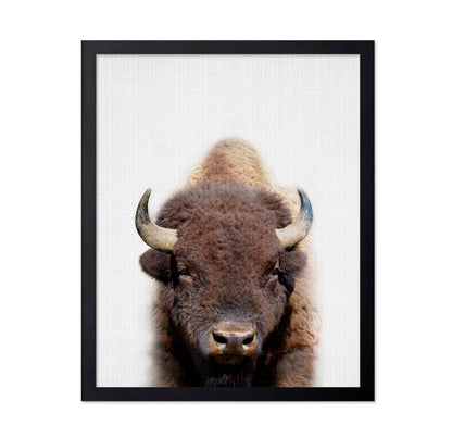 Peekaboo Bison