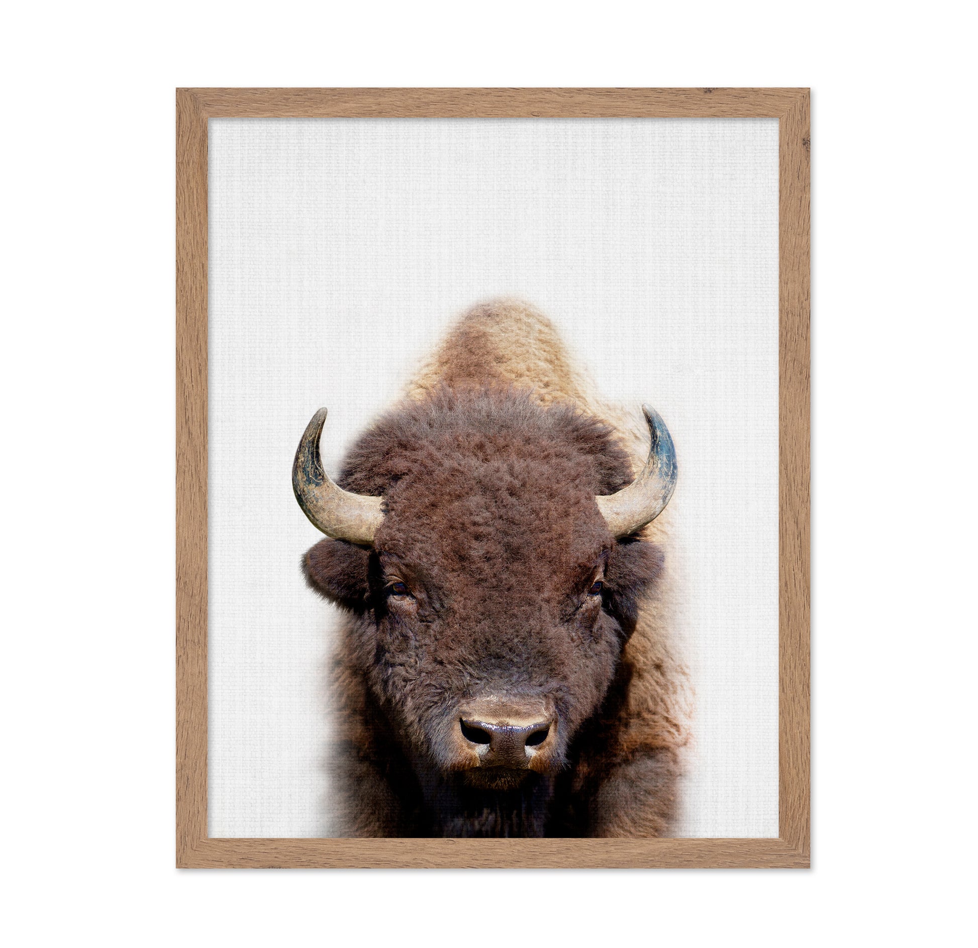 Peekaboo Bison
