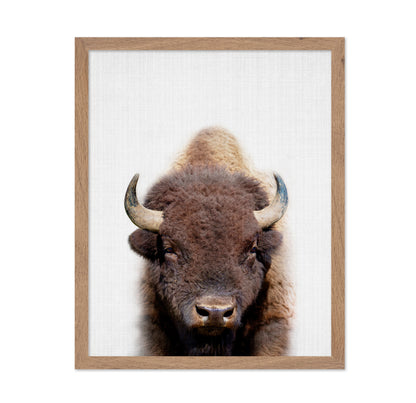 Peekaboo Bison