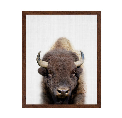 Peekaboo Bison