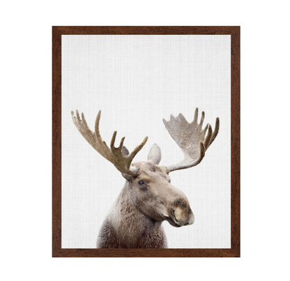 Peekaboo Moose