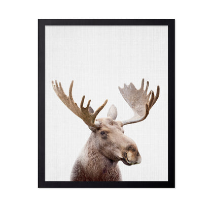 Peekaboo Moose