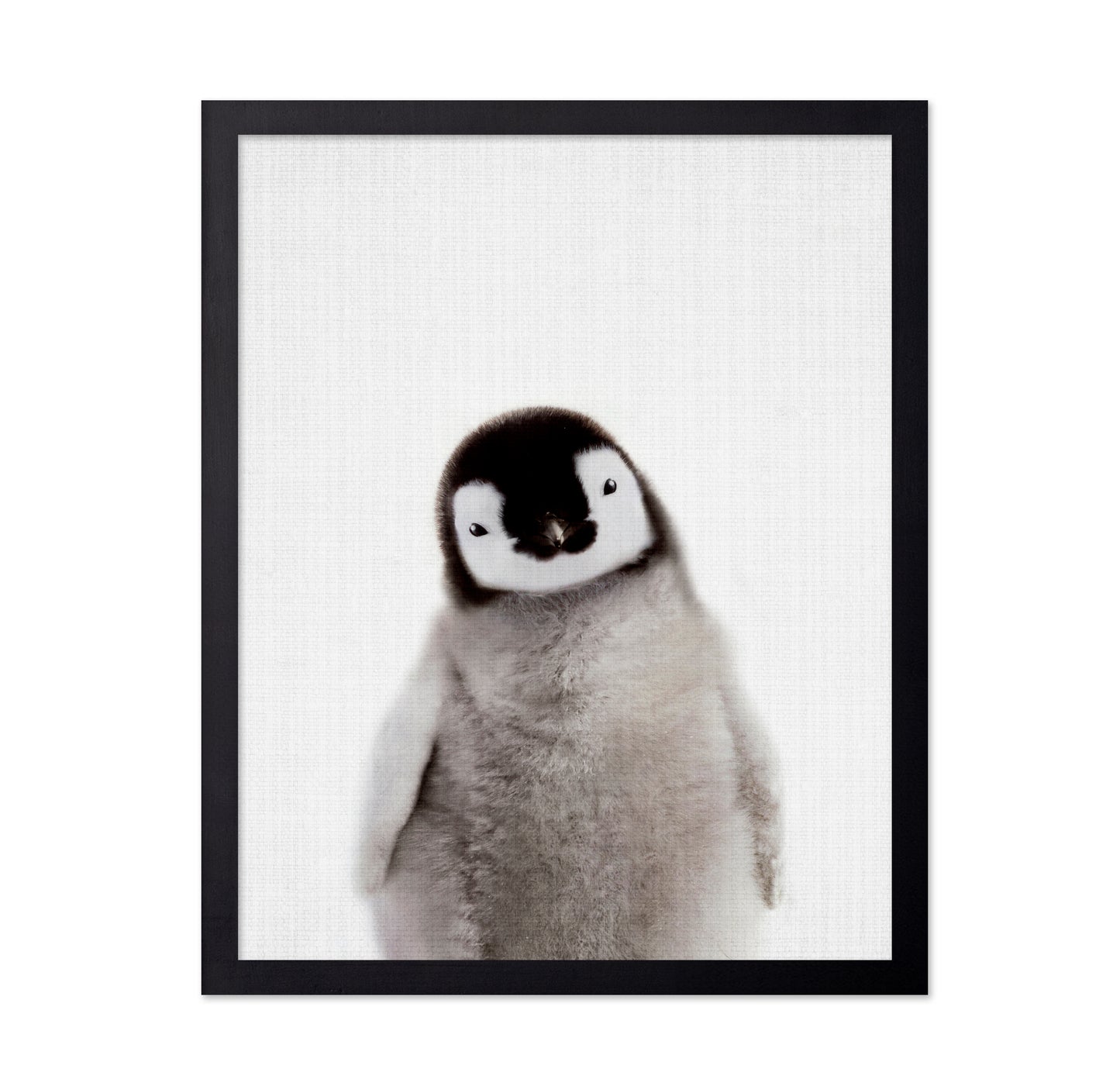 Peekaboo Baby Penguin