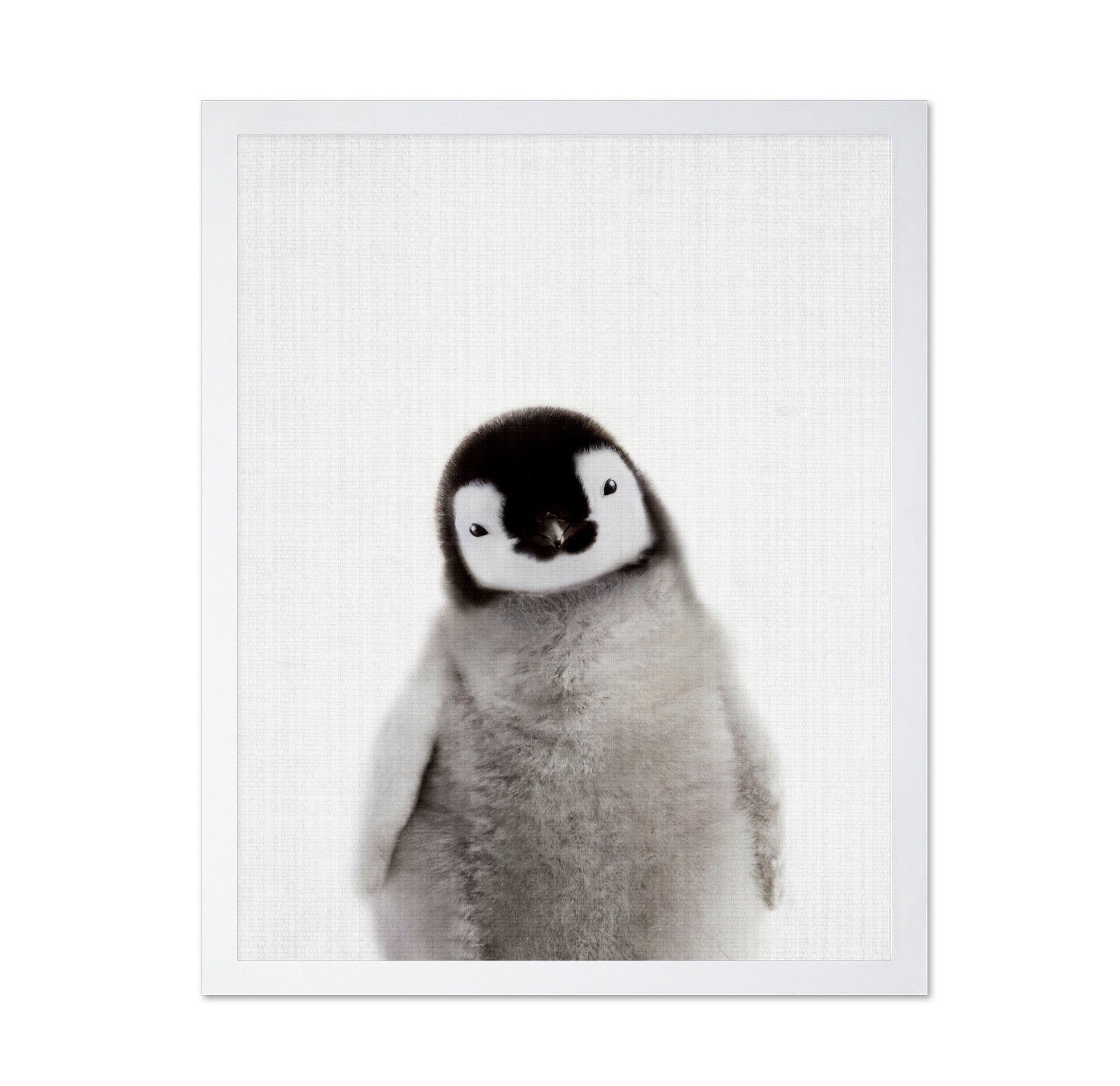 Peekaboo Baby Penguin