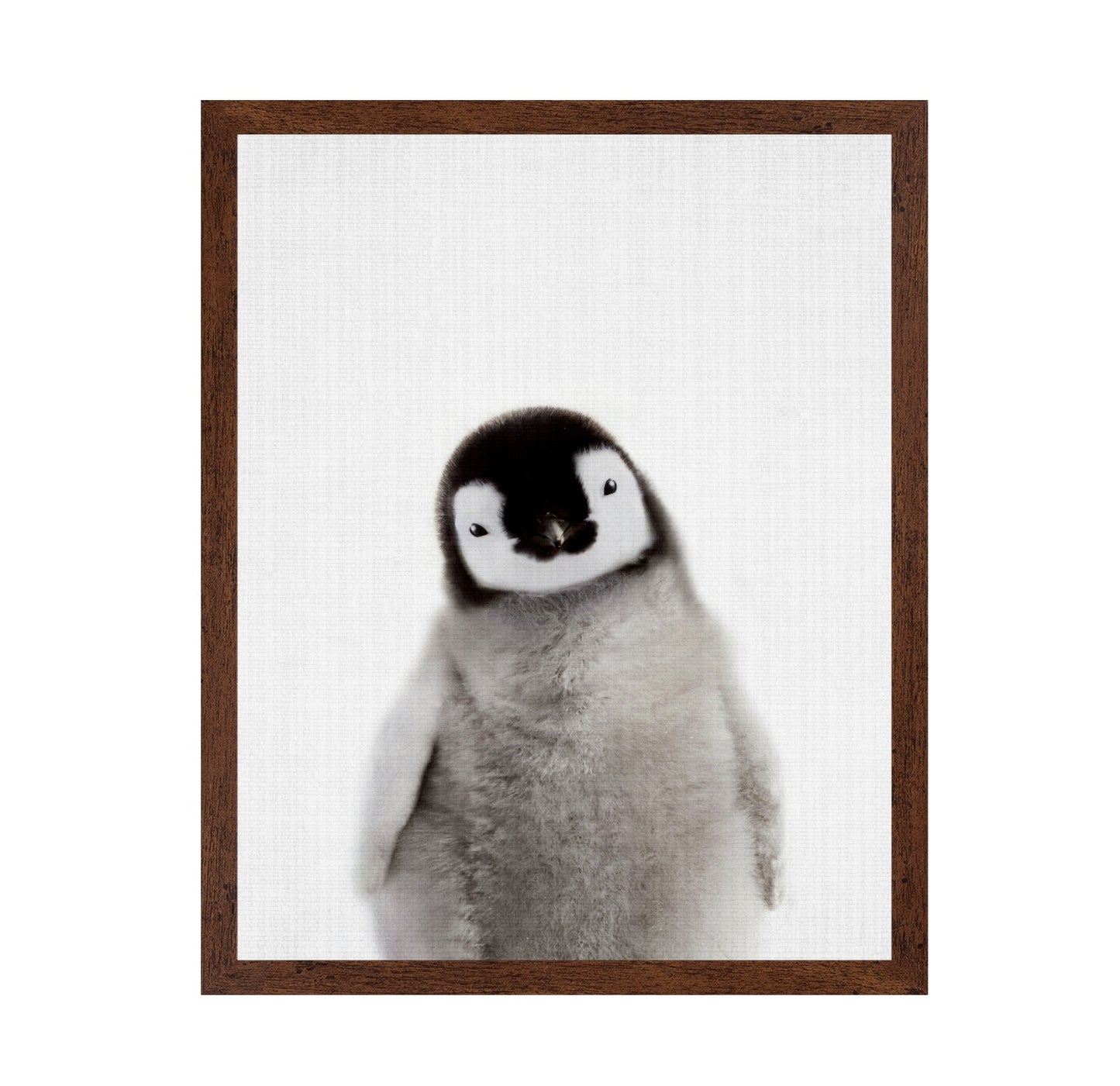 Peekaboo Baby Penguin