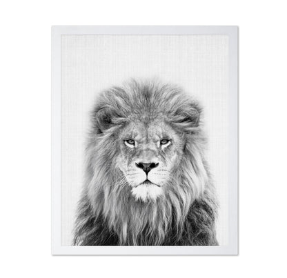 Black a White Peekaboo Lion