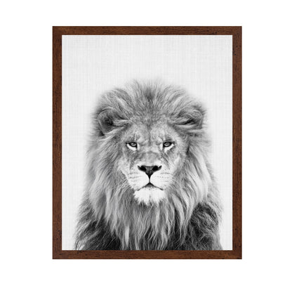 Black a White Peekaboo Lion