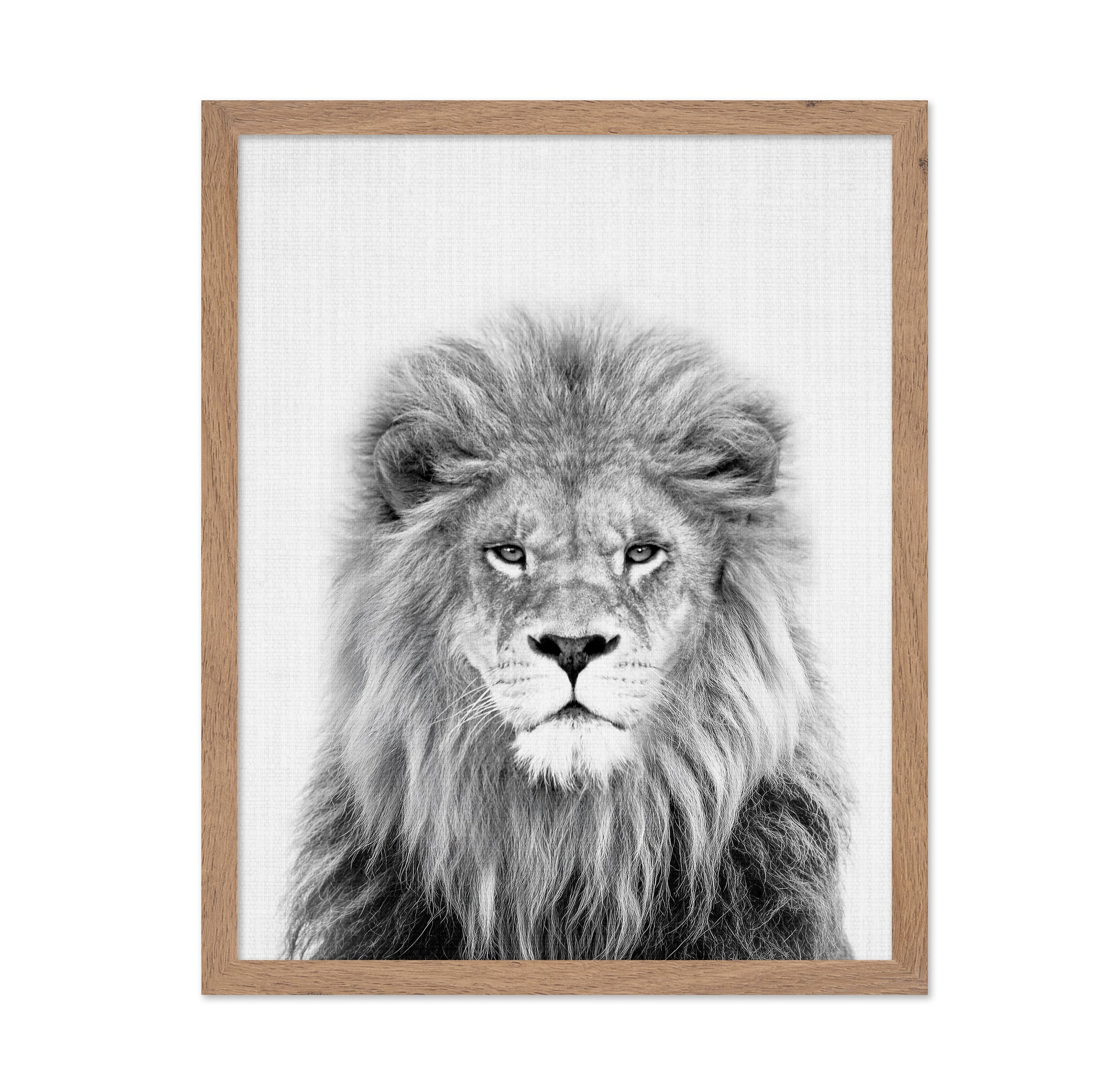Black a White Peekaboo Lion