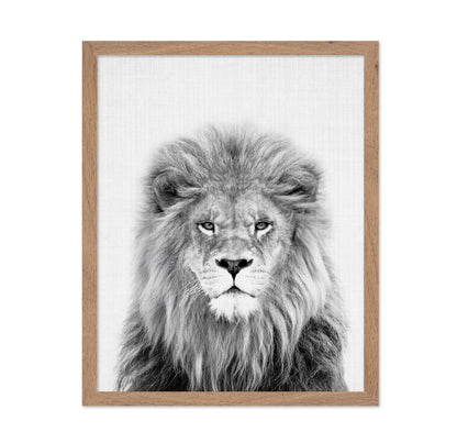 Black a White Peekaboo Lion