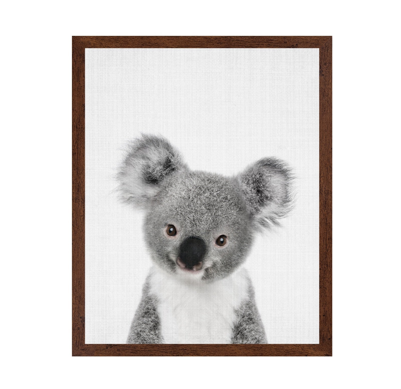 Peekaboo Baby Koala