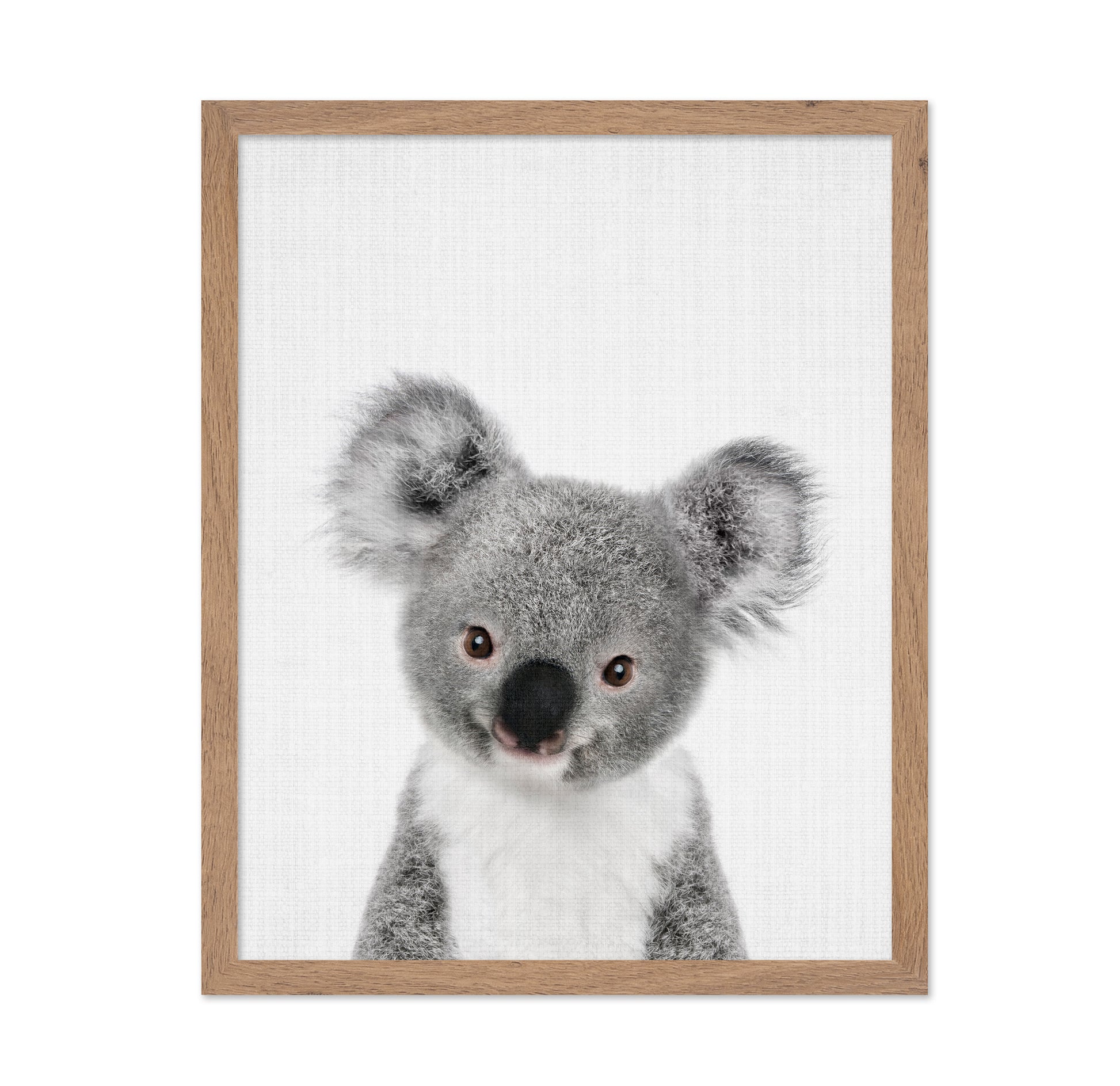 Peekaboo Baby Koala
