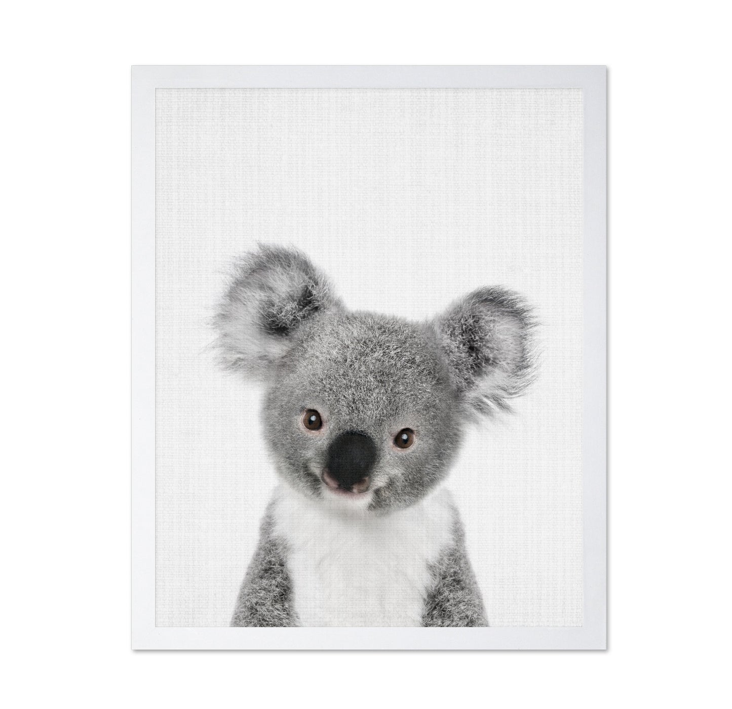 Peekaboo Baby Koala