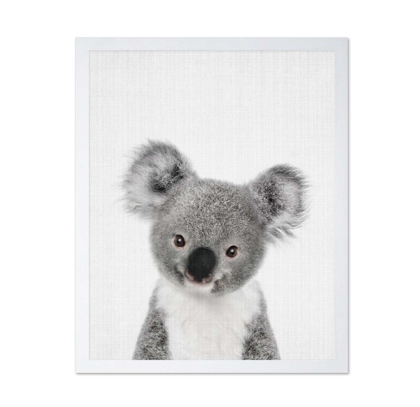 Peekaboo Baby Koala