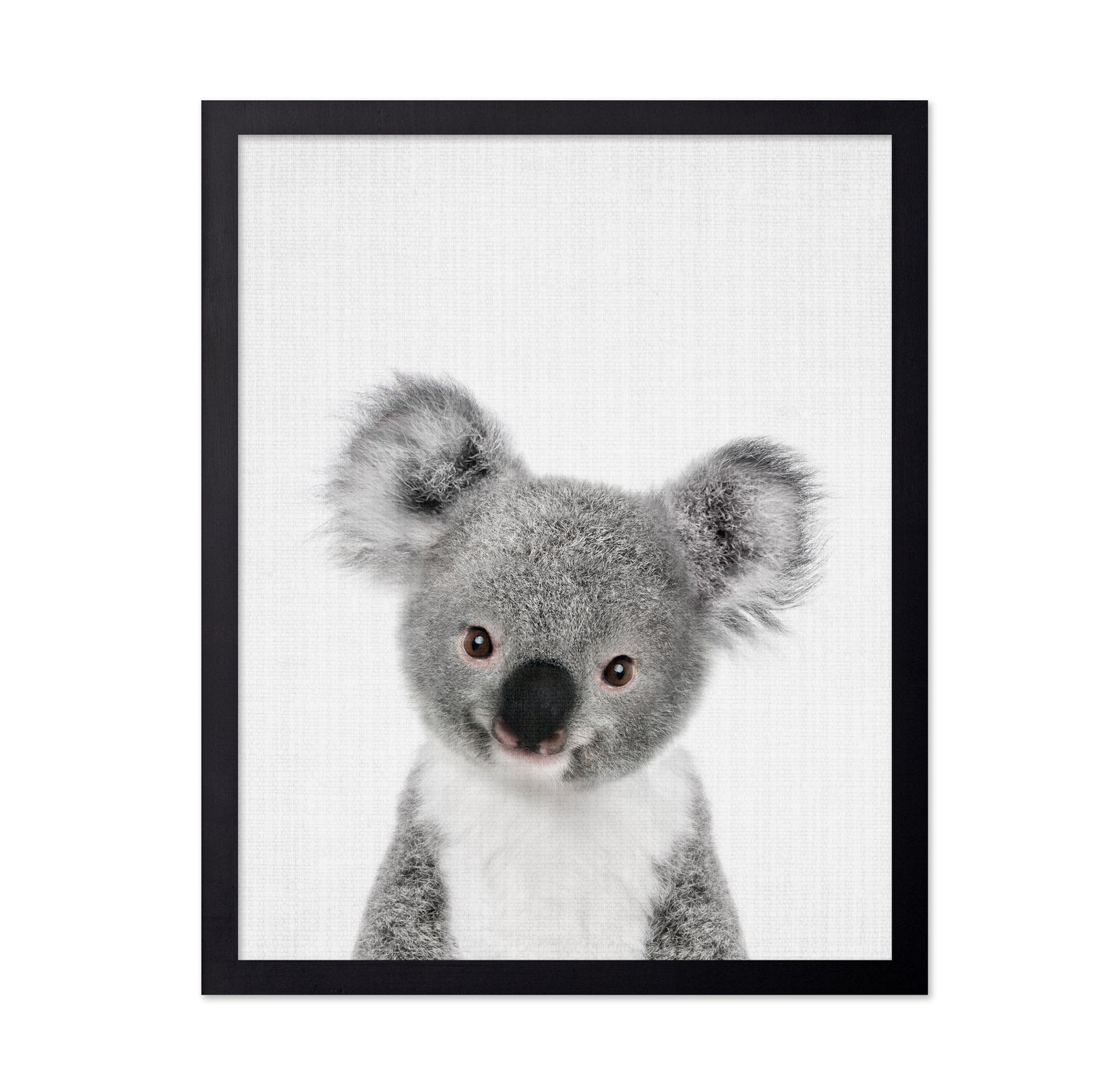 Peekaboo Baby Koala