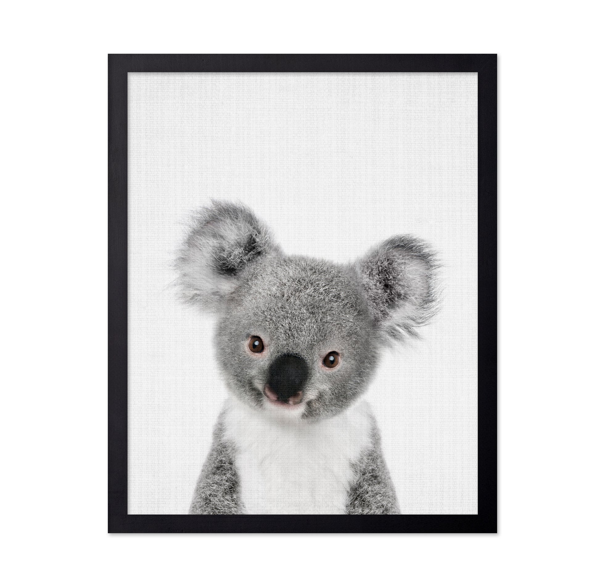 Peekaboo Baby Koala