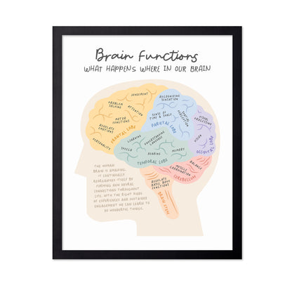 Brain Functions