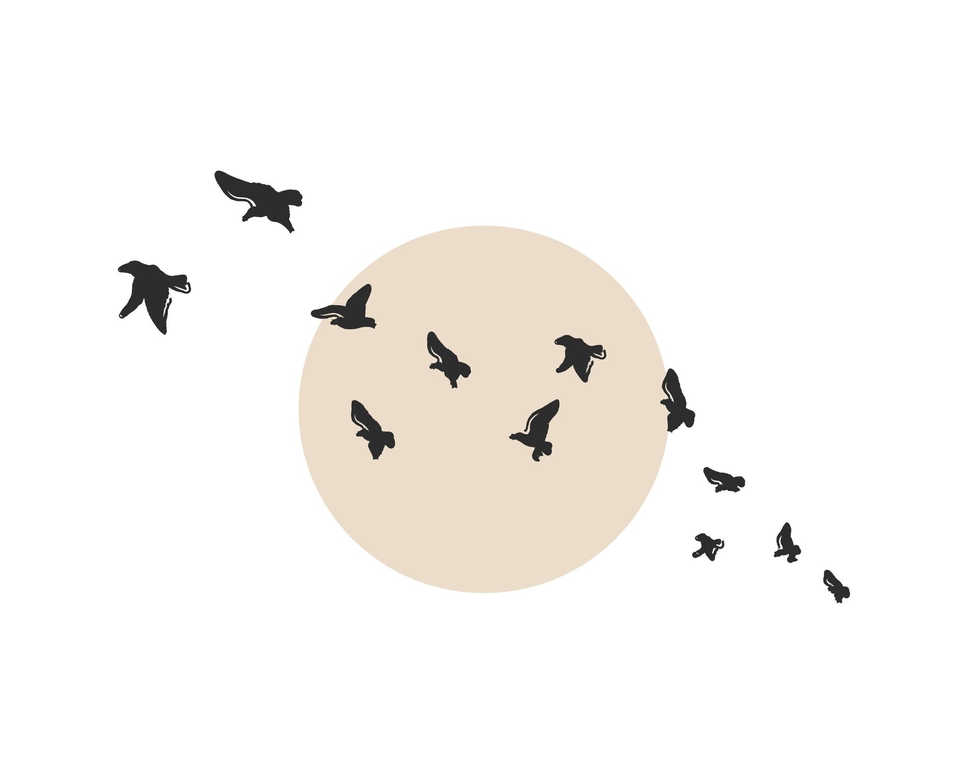 Flock