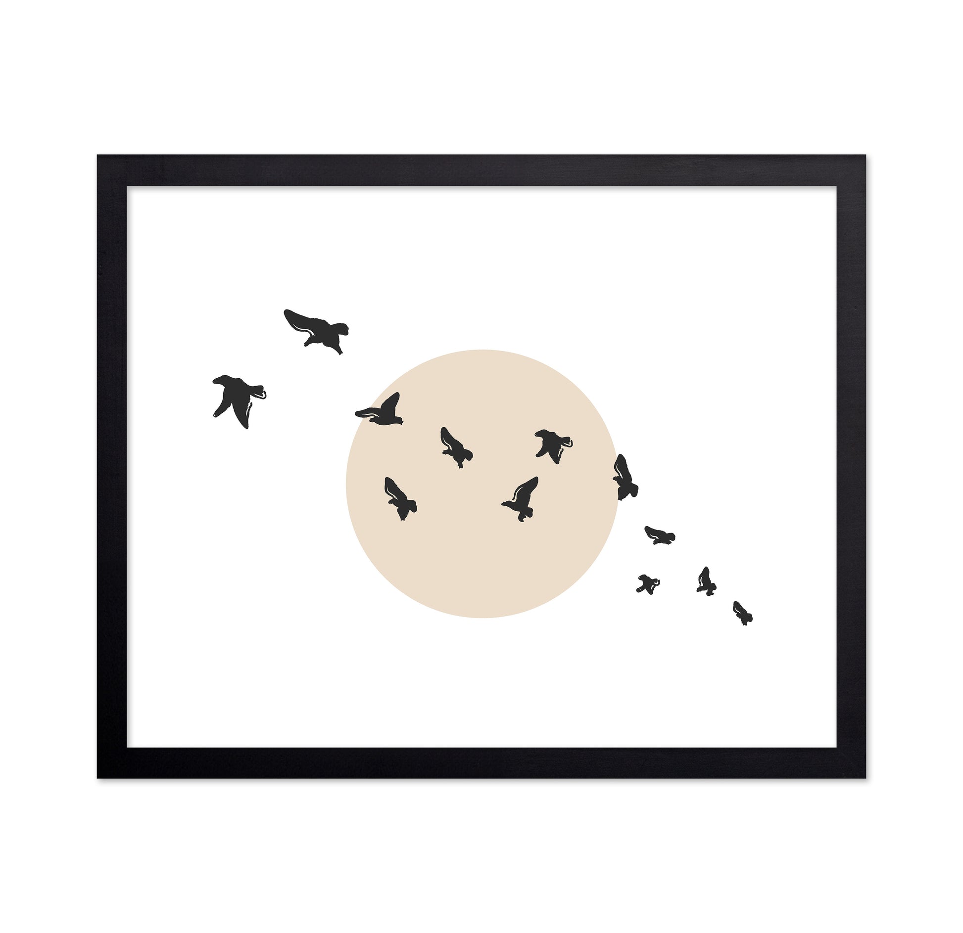 Flock