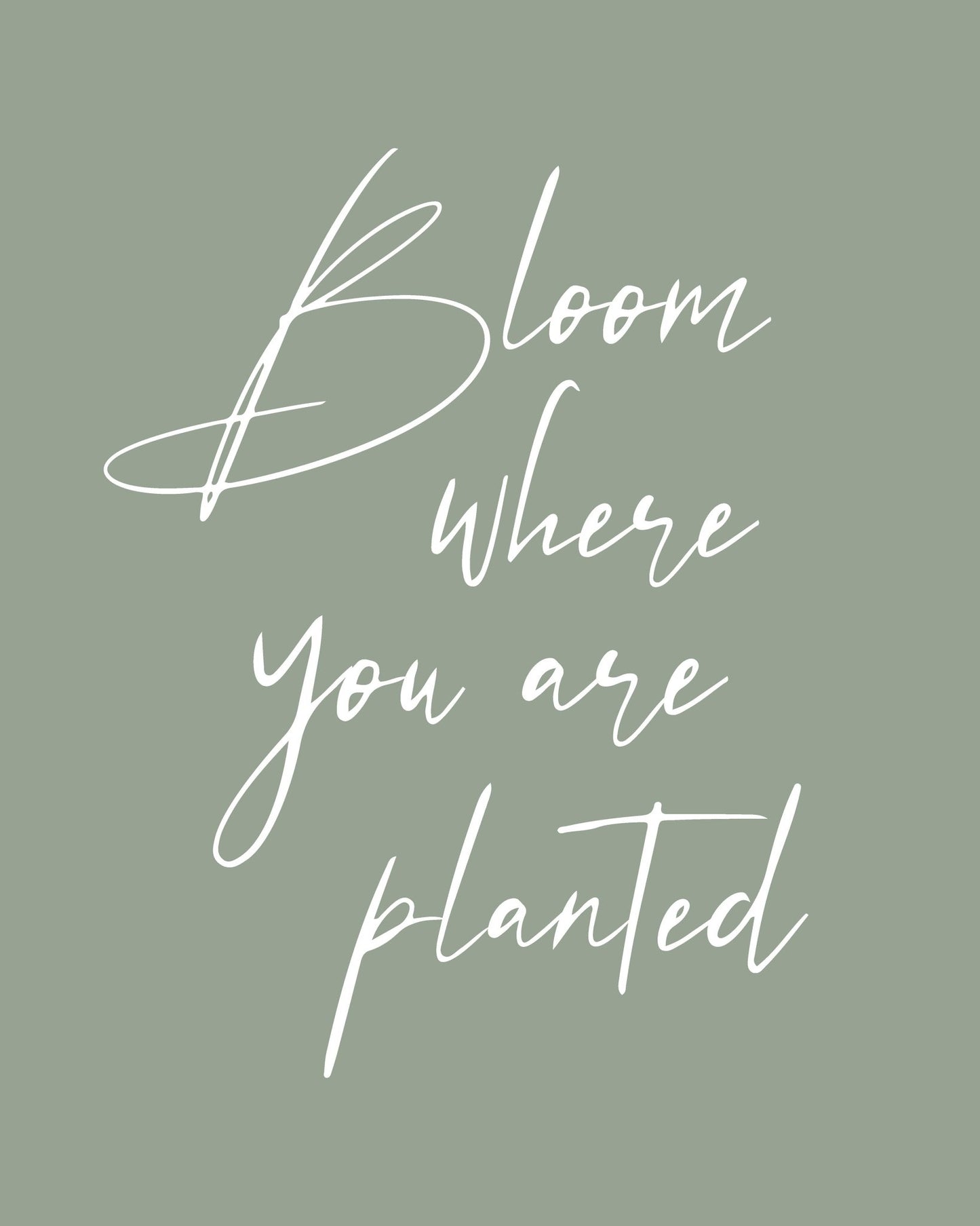Bloom where Planted No1