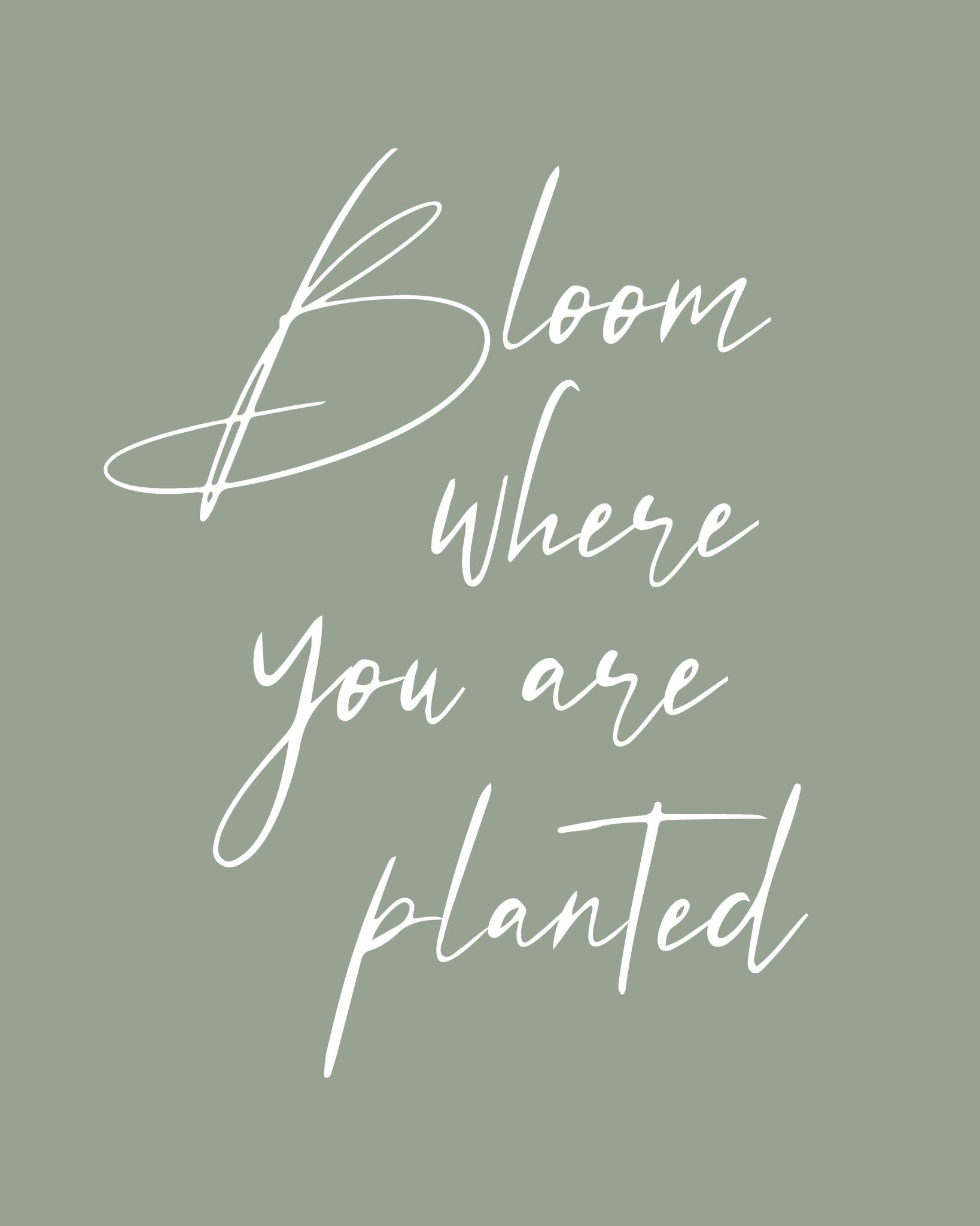 Bloom where Planted No1