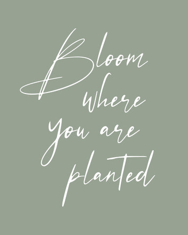 Bloom where Planted No1
