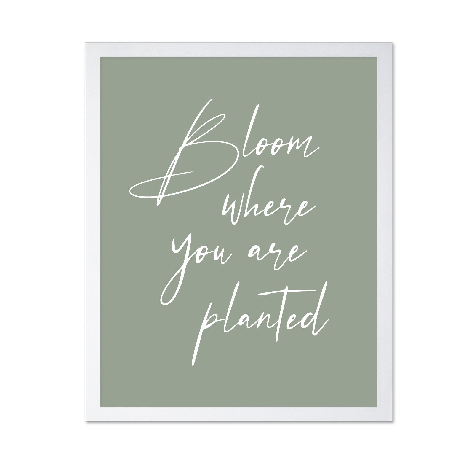 Bloom where Planted No1