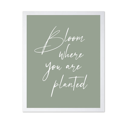 Bloom where Planted No1