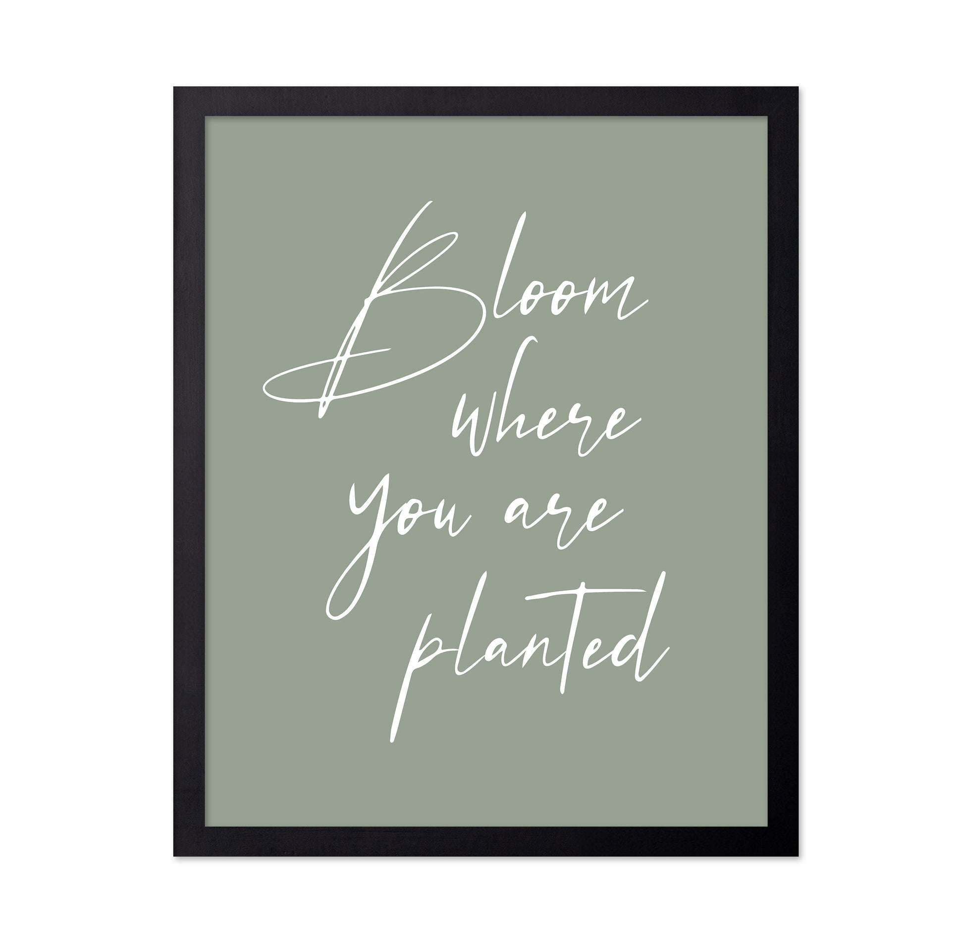 Bloom where Planted No1