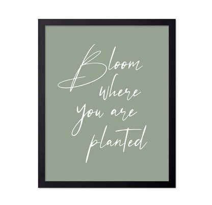 Bloom where Planted No1