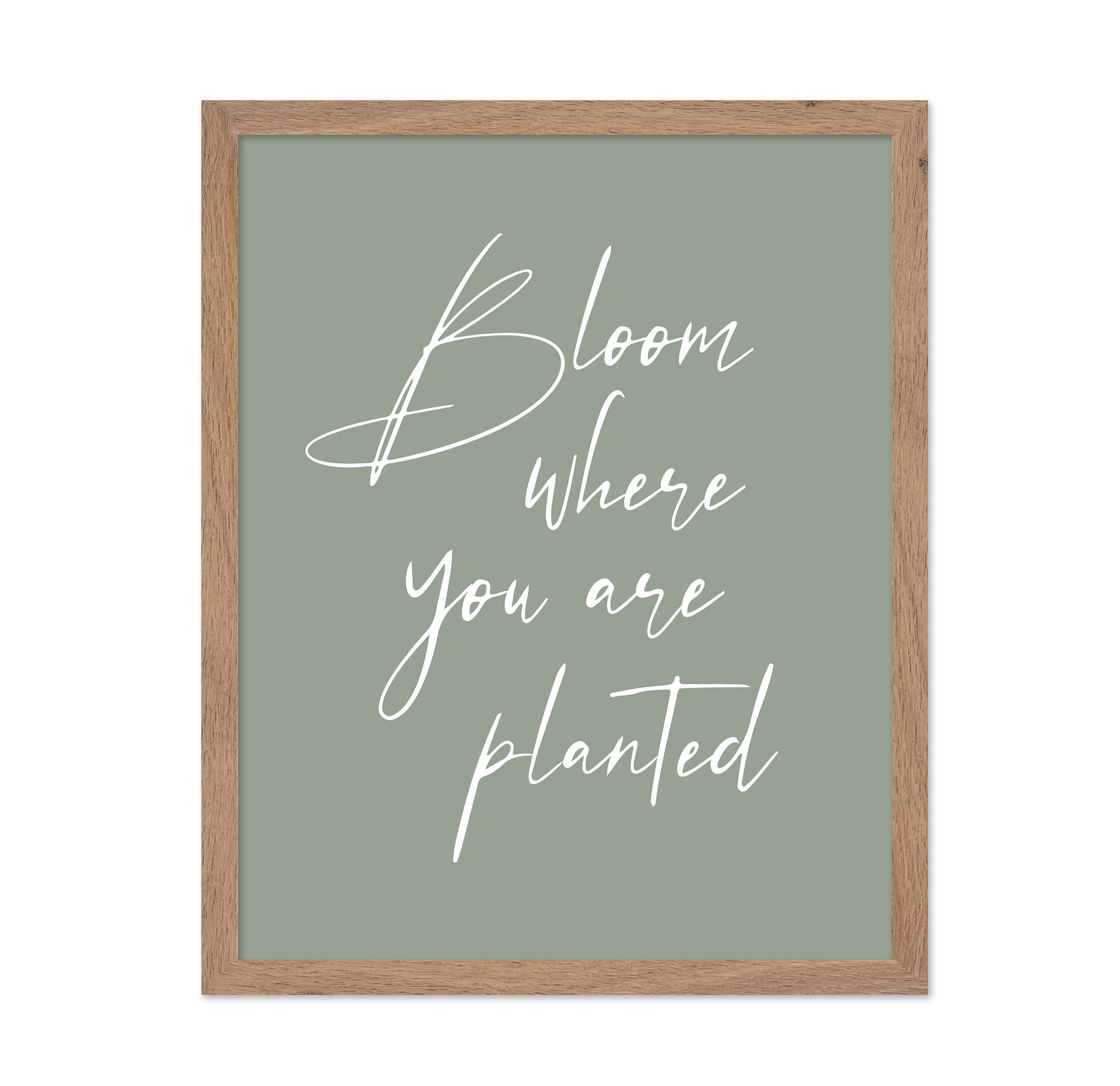 Bloom where Planted No1