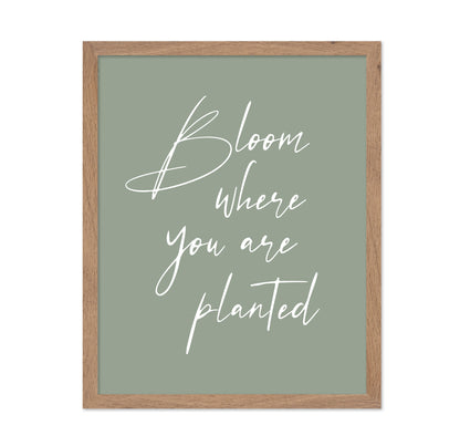Bloom where Planted No1