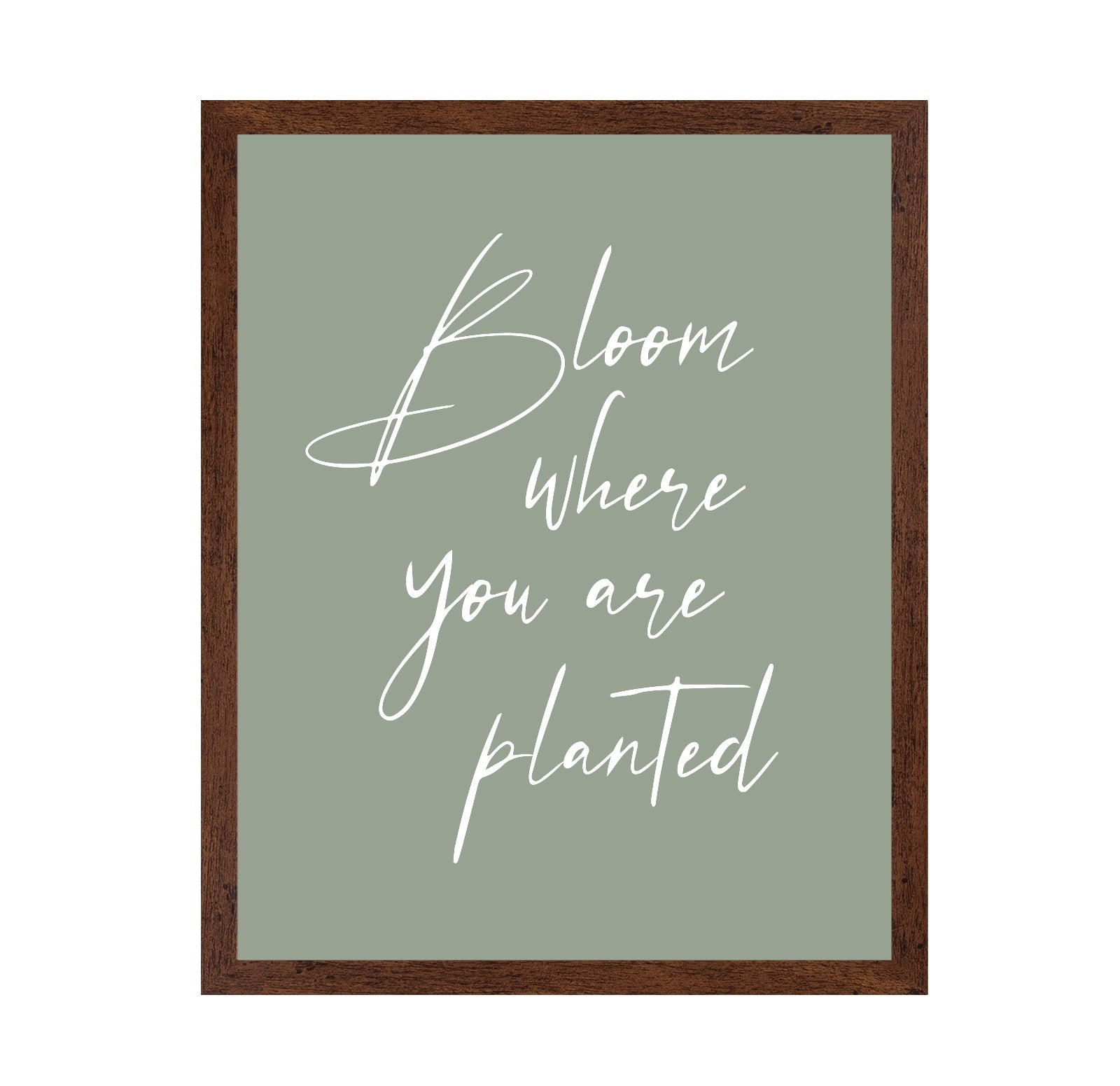 Bloom where Planted No1