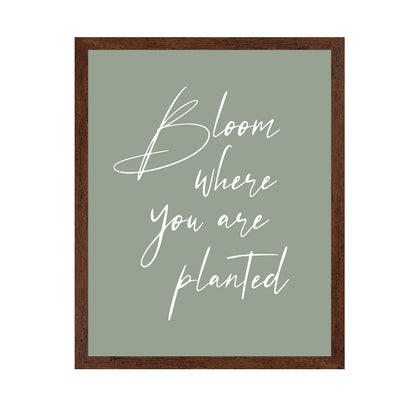 Bloom where Planted No1