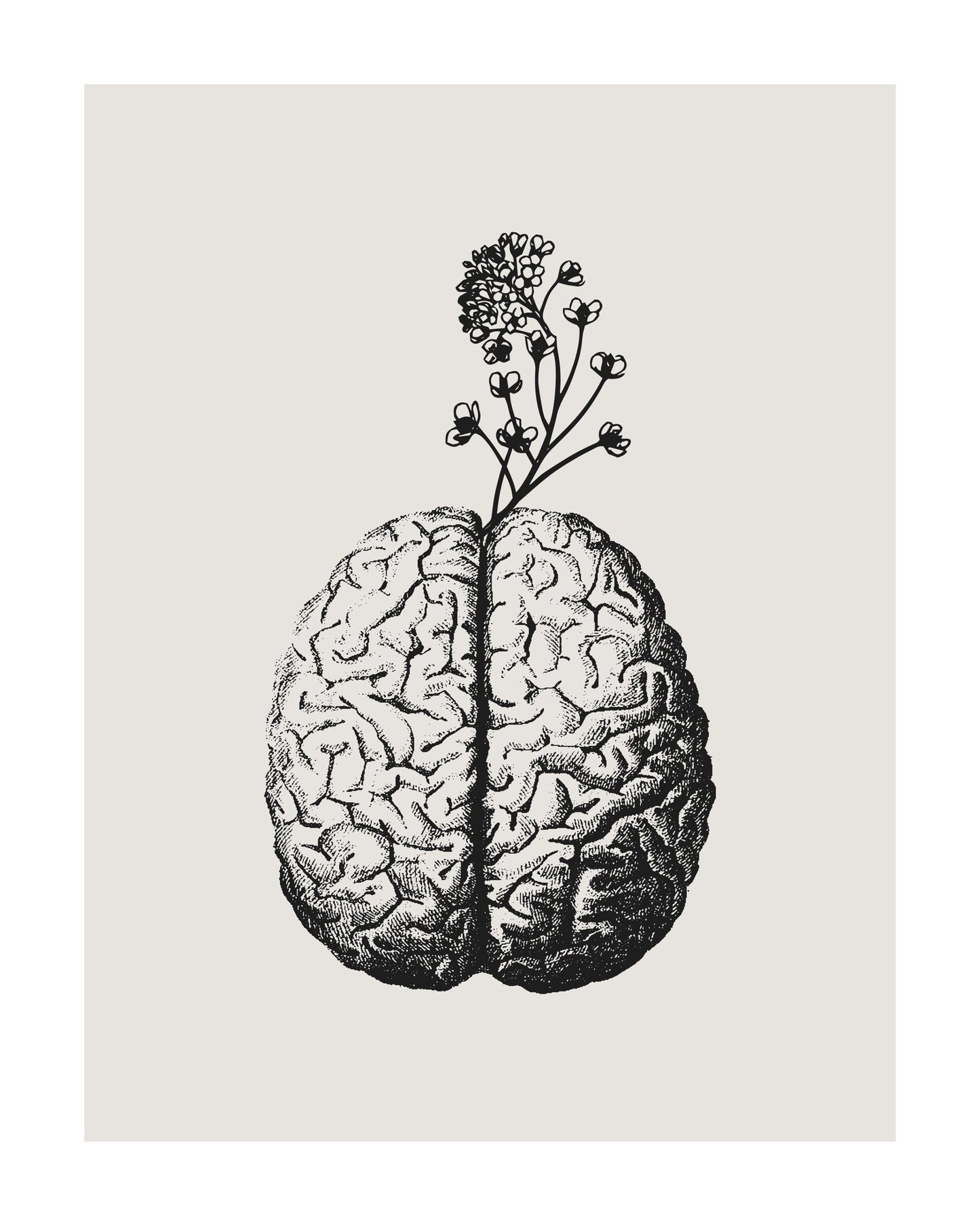 Brain Bloom No 3