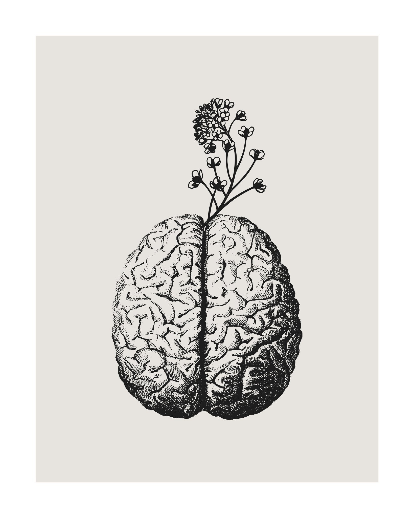 Brain Bloom No 3
