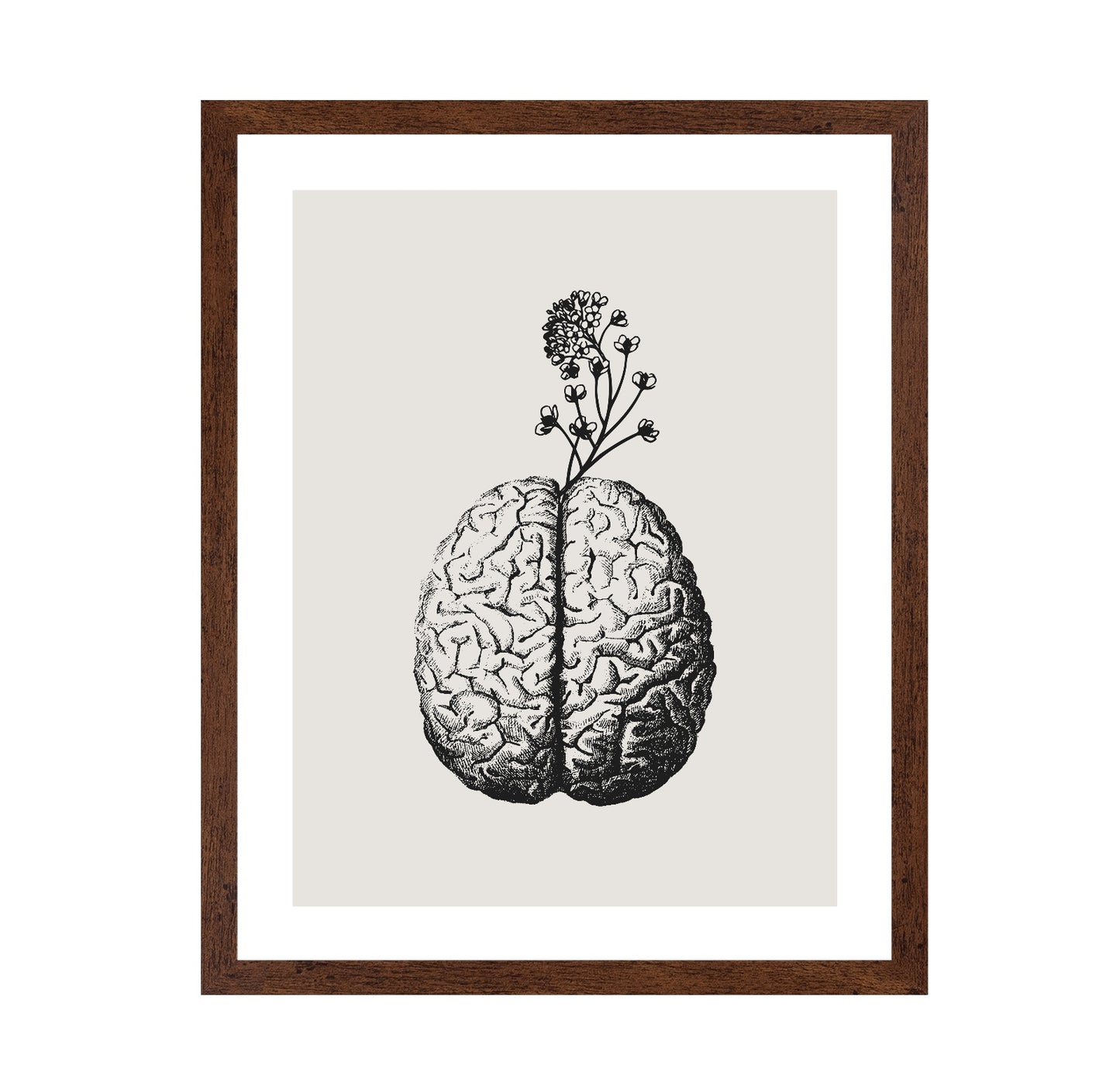 Brain Bloom No 3