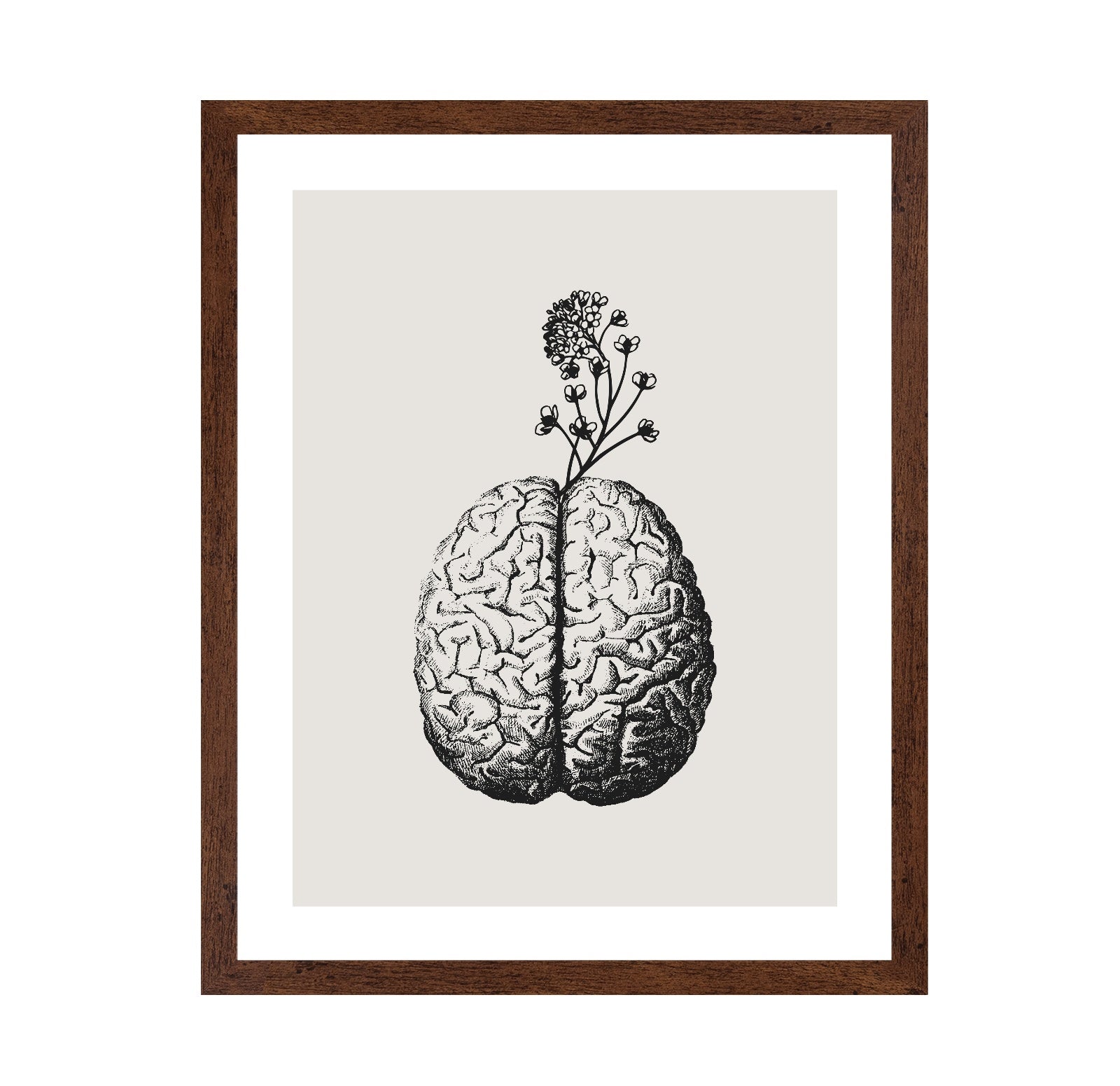 Brain Bloom No 3