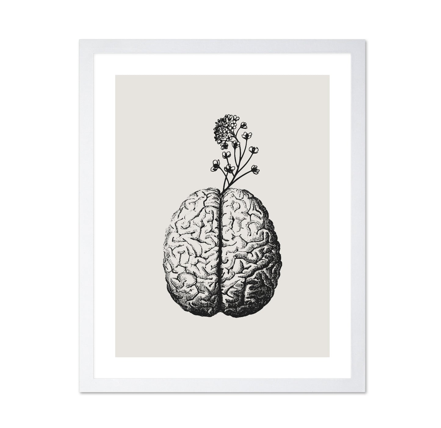 Brain Bloom No 3
