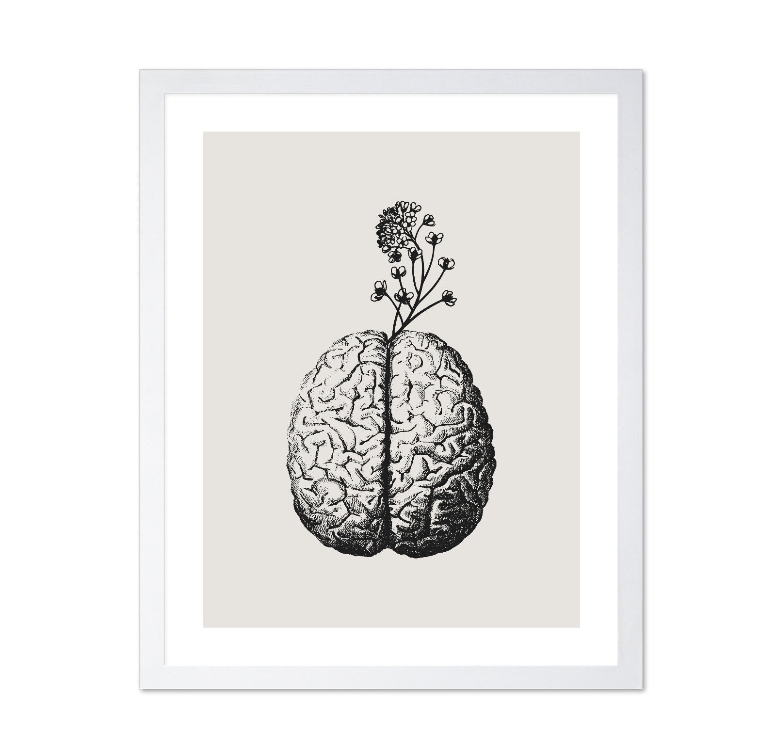 Brain Bloom No 3