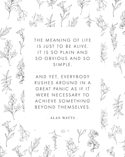 The Meaning Of Life