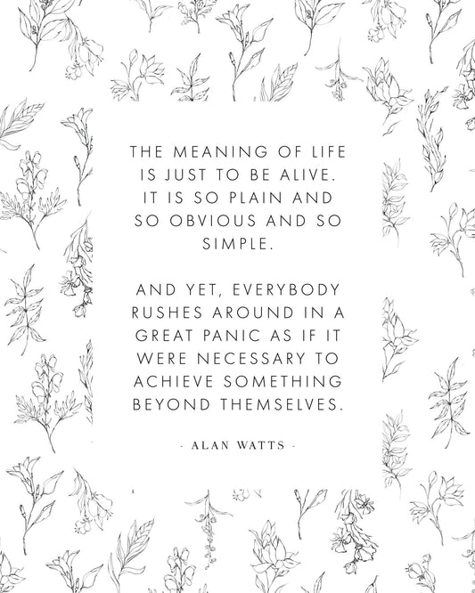 The Meaning Of Life