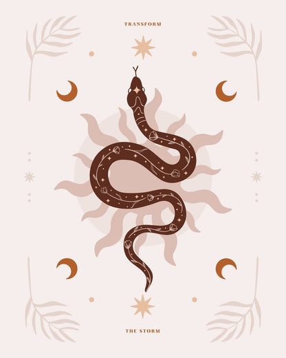 Snake Transform