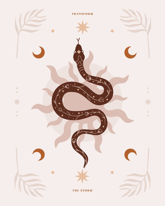 Snake Transform