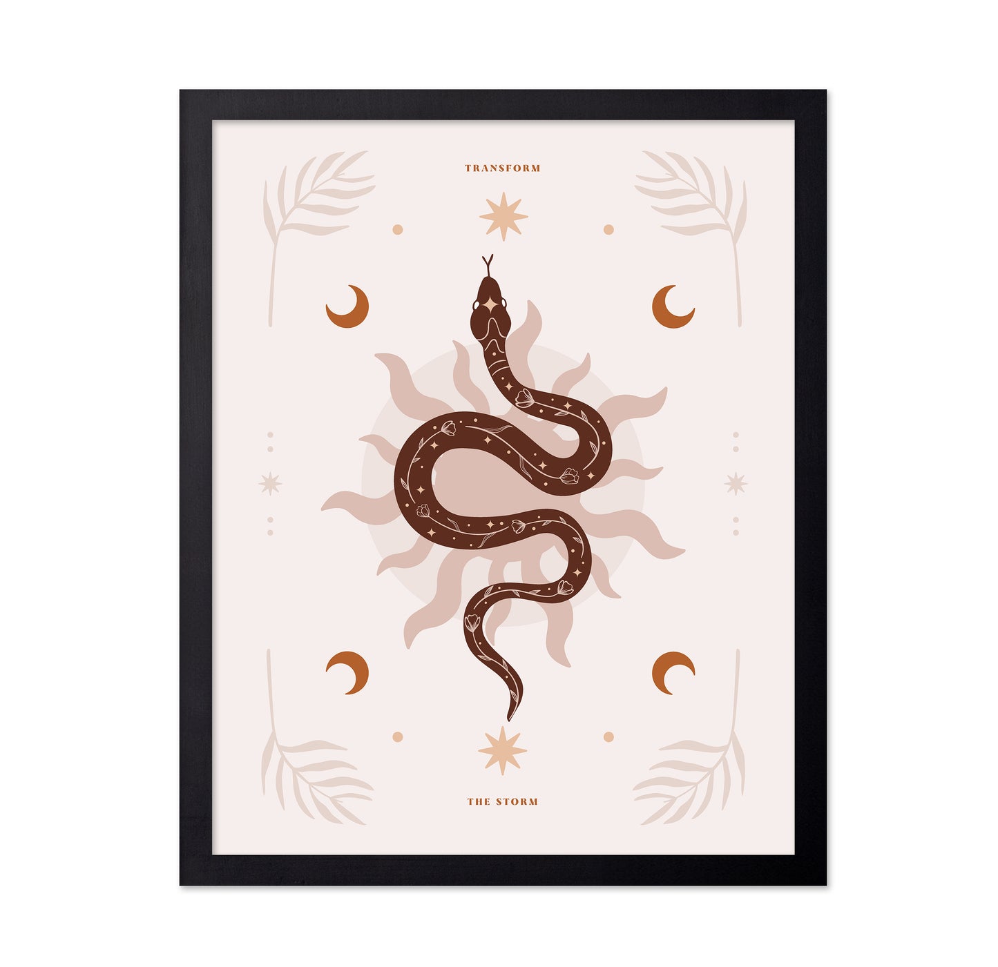 Snake Transform