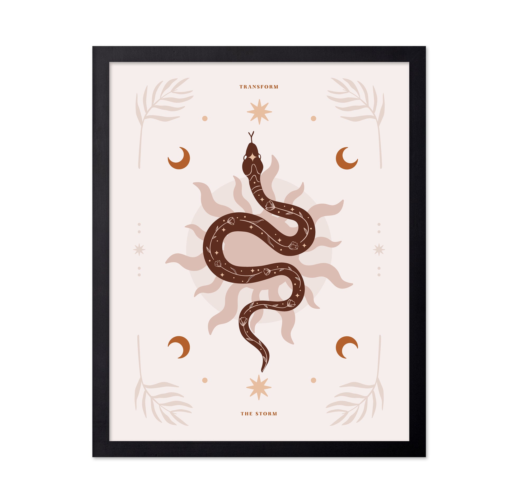 Snake Transform