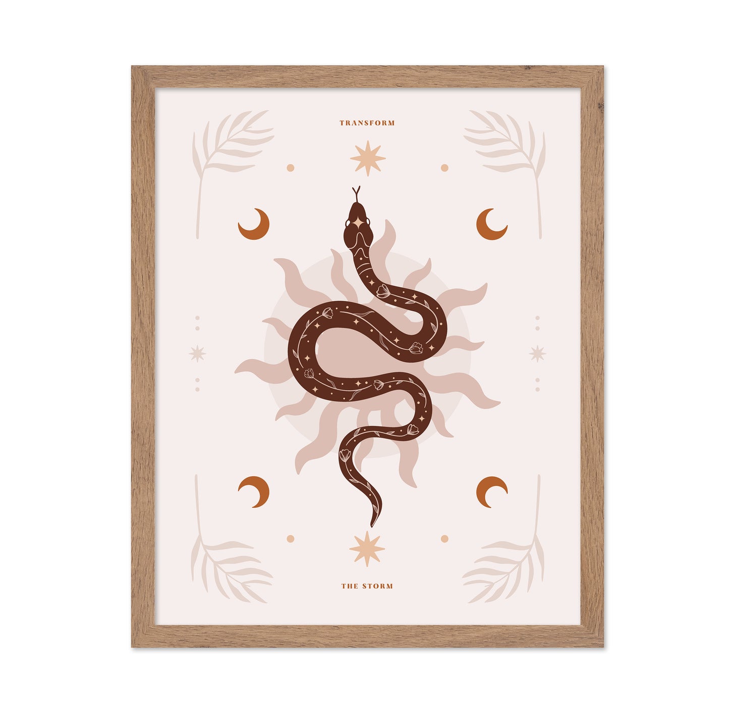 Snake Transform
